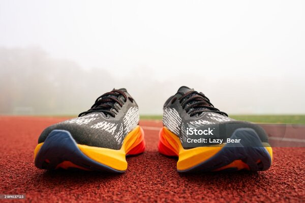 chaussure course minimaliste 